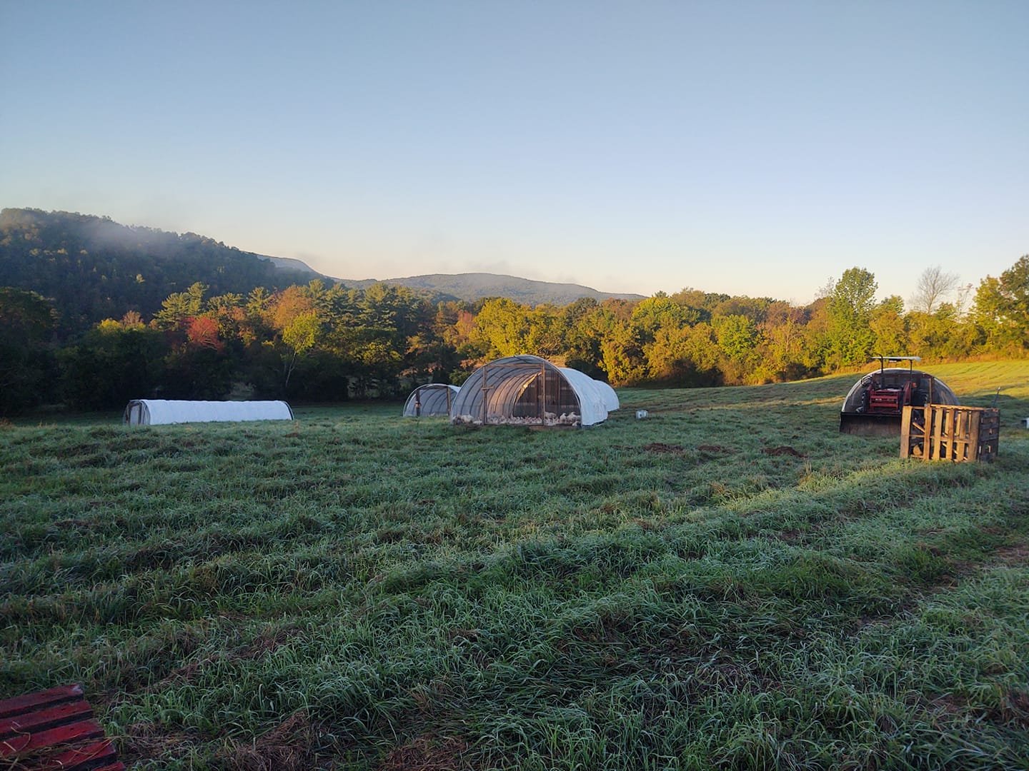 Frosty morning on a rural farm with green fields, multiple high tunnels for crop protection, and a tractor parked nearby, set against a backdrop of rolling hills and colorful autumn foliage.
